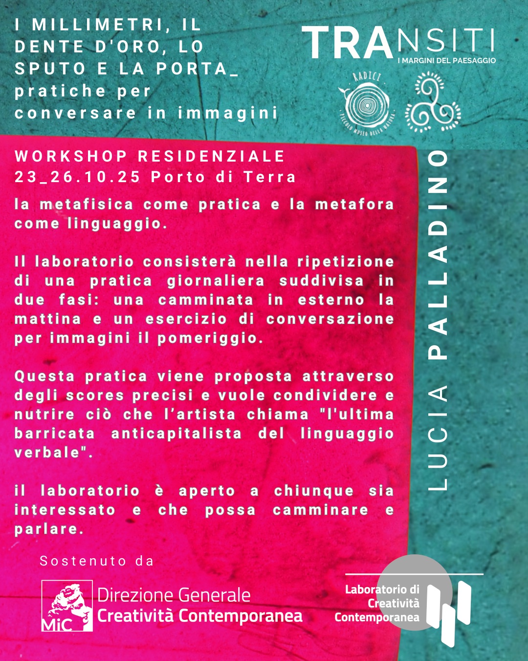 grafiche TRANSITI IG – 15